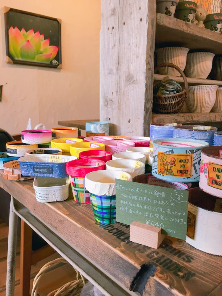 ひまわりのカンカン