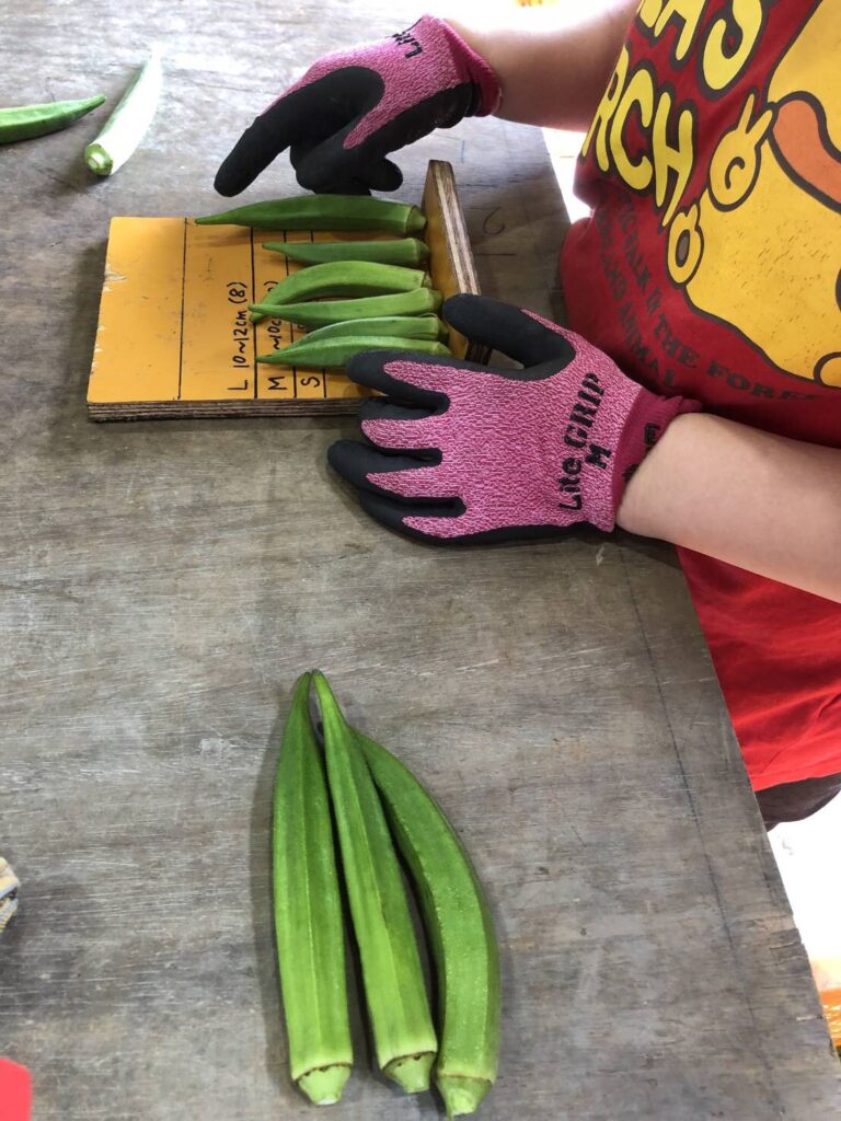 8月ひまわり便り